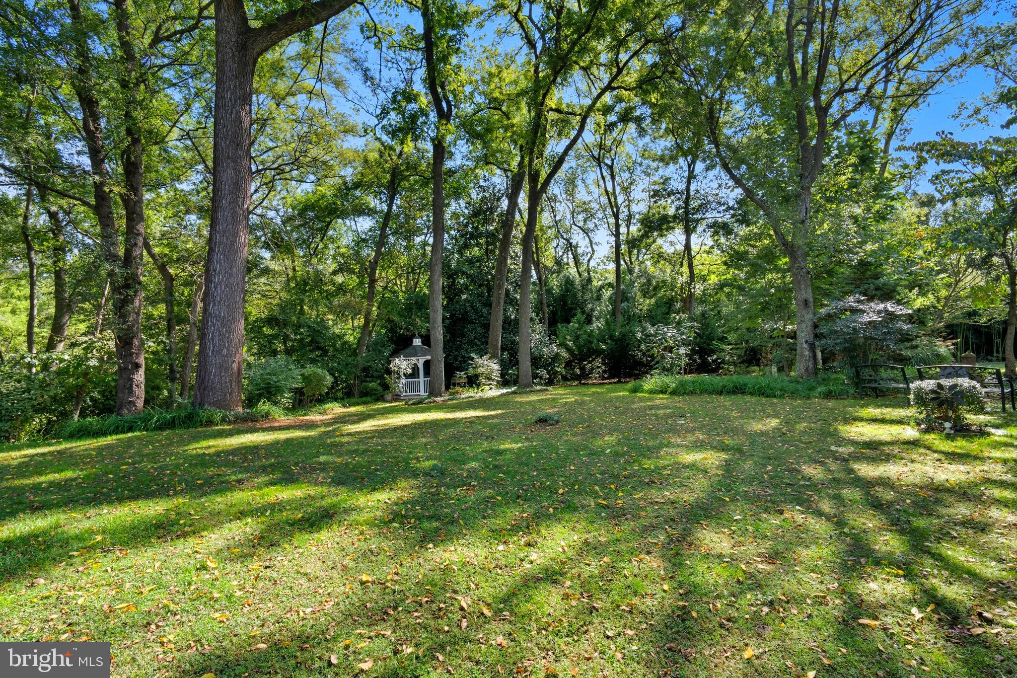 13983 Turners Point Road Kennedyville, MD 21645 - Photo 35 of 62 a view of a trees in a yard