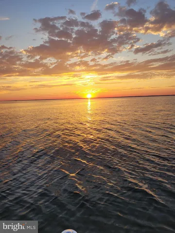 a view of a yard in front of a house