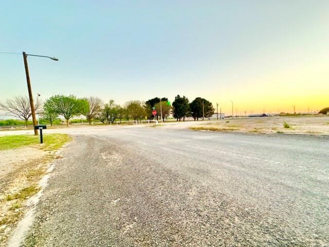 402 Kilborn Street Rankin, TX 79778 - Photo 6 of 20