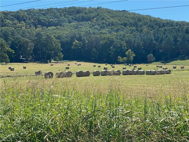 $1,250,000 | 1654 A Ward Mountain Road Northeast, Rome, GA 30161