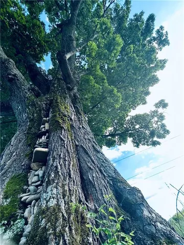 $1,250,000 | 1654 A Ward Mountain Road Northeast, Rome, GA 30161