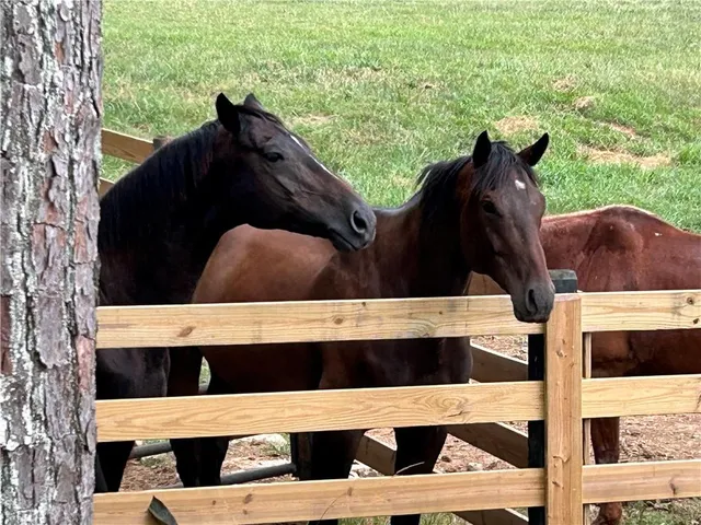 $1,250,000 | 1654 A Ward Mountain Road Northeast, Rome, GA 30161