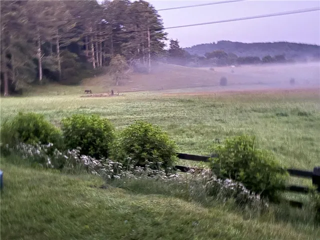 $1,250,000 | 1654 A Ward Mountain Road Northeast, Rome, GA 30161