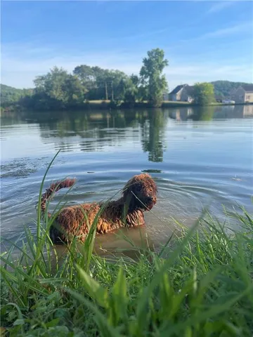 $1,250,000 | 1654 A Ward Mountain Road Northeast, Rome, GA 30161