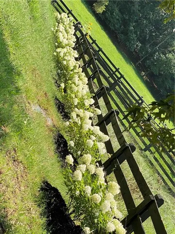 $1,250,000 | 1654 A Ward Mountain Road Northeast, Rome, GA 30161