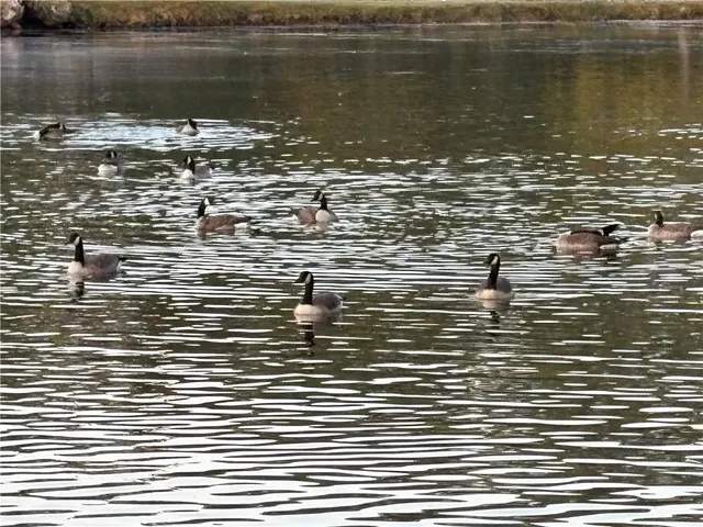 $1,250,000 | 1654 A Ward Mountain Road Northeast, Rome, GA 30161