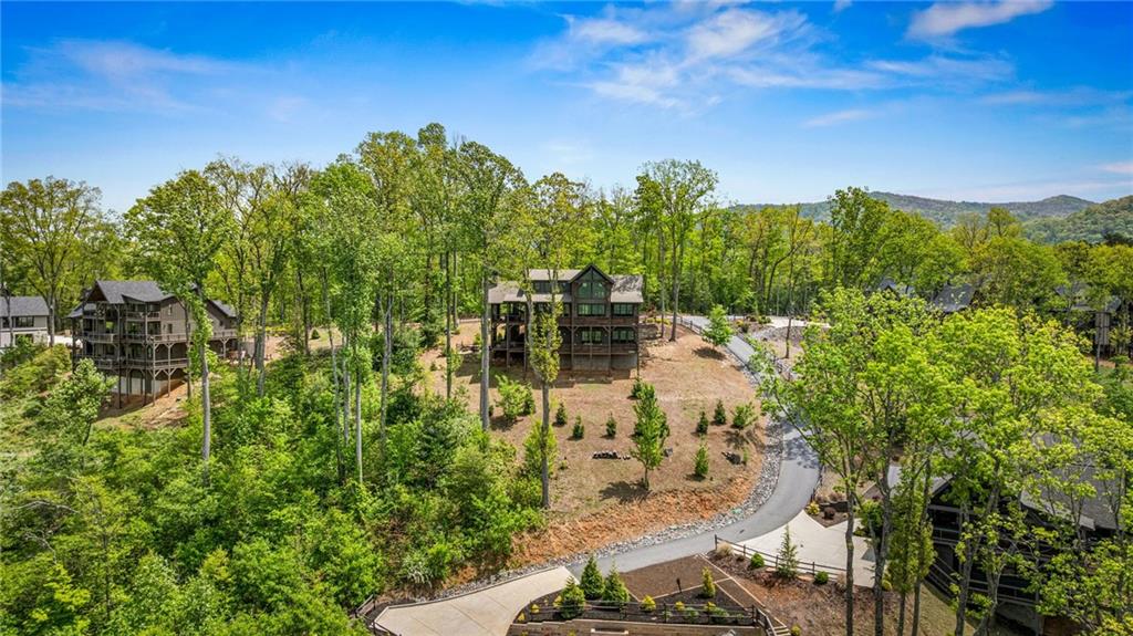 802 Overlook Drive Blue Ridge, GA 30513 - Photo 7 of 90