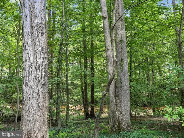 $2,500,000 | 6702 Oregon Avenue Northwest, Washington, DC 20015