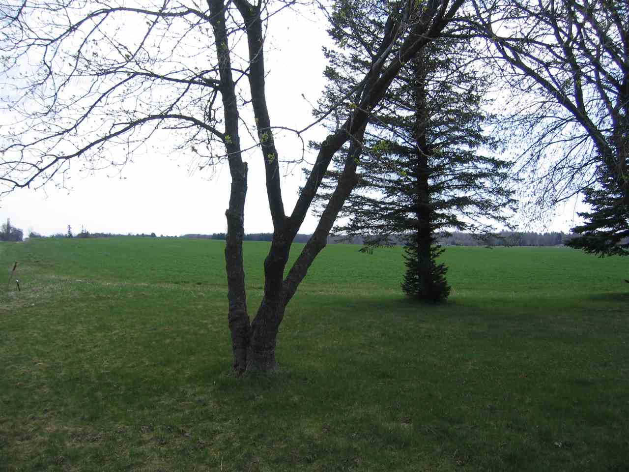 7121 West Sterling Road Sterling, MI 48659 - Photo 2 of 6 1846107-1.JPG