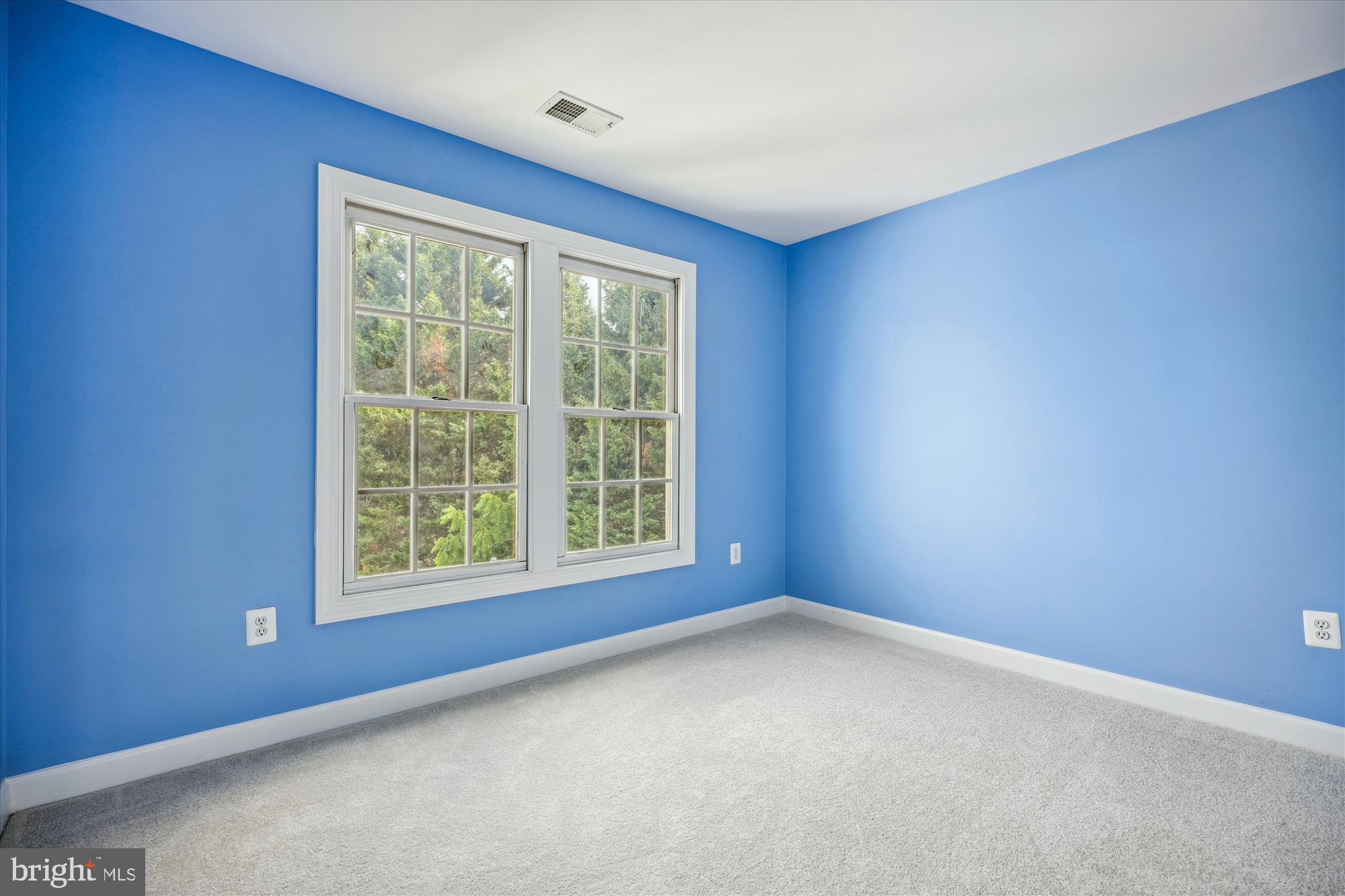 918 Brick Manor Circle Silver Spring, MD 20905 - Photo 43 of 64 Blue bedroom faces back of house, large backyard