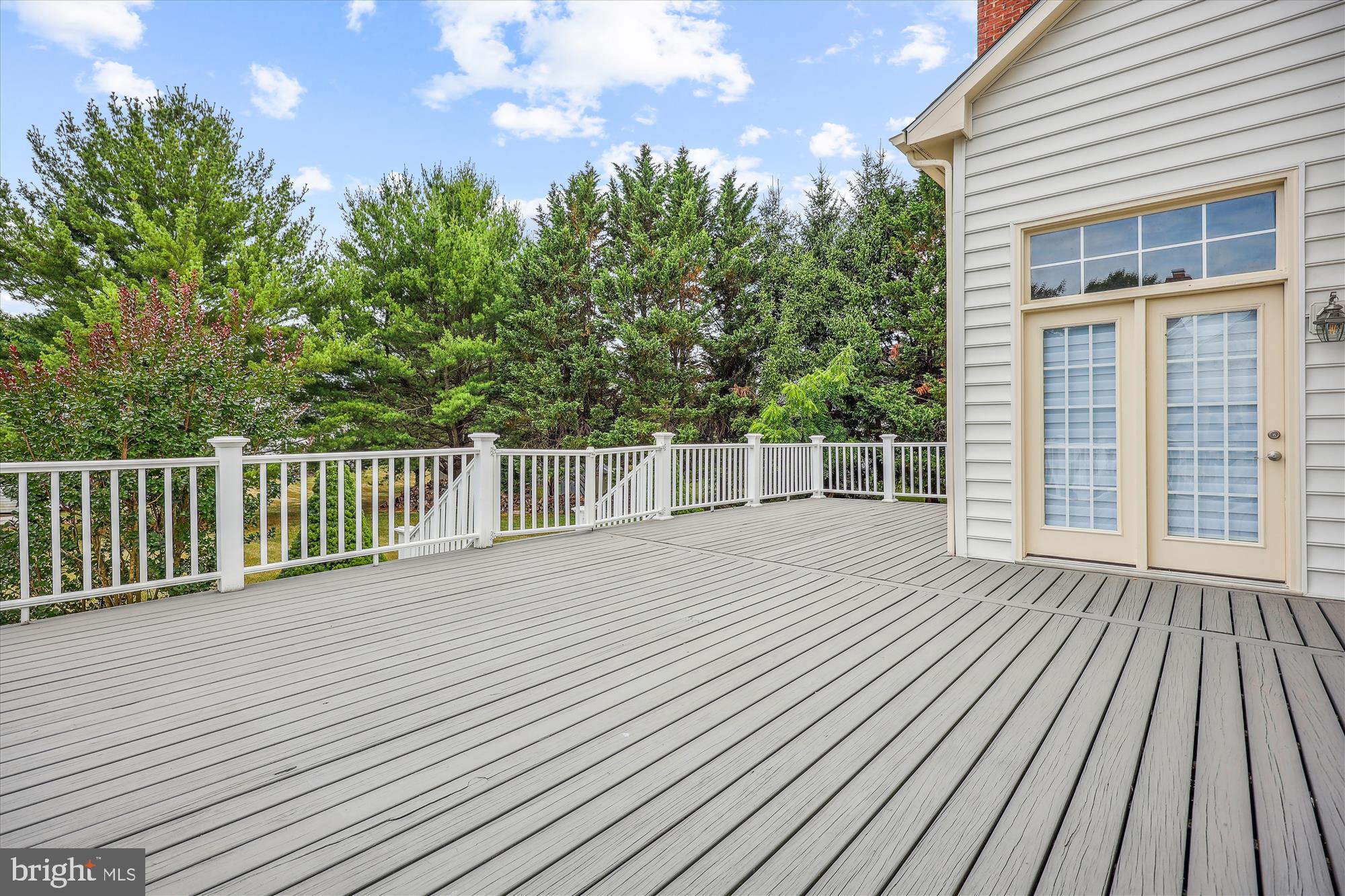 918 Brick Manor Circle Silver Spring, MD 20905 - Photo 63 of 64 Row of trees provide you with some privacy
