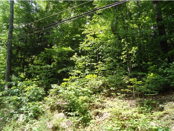 H94-2 Mason Road Wilton, NH 03086 - Photo 2 of 2