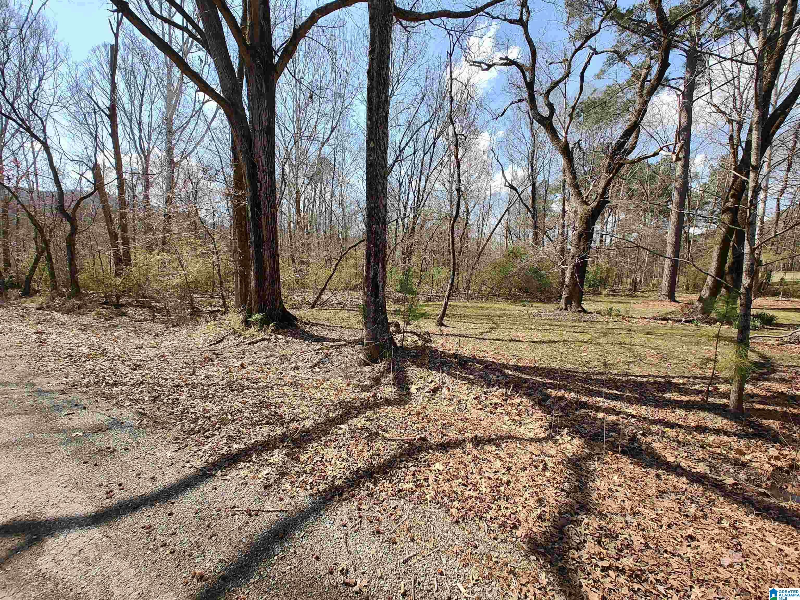 0 Meadow Circle Sylacauga, AL 35150 - Photo 1 of 6