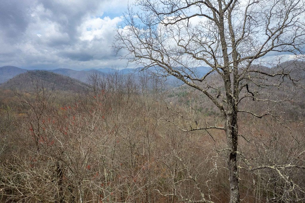 11 Stone Pillow Road Tuckasegee, NC 28783 - Photo 15 of 26 Gallery Image 15