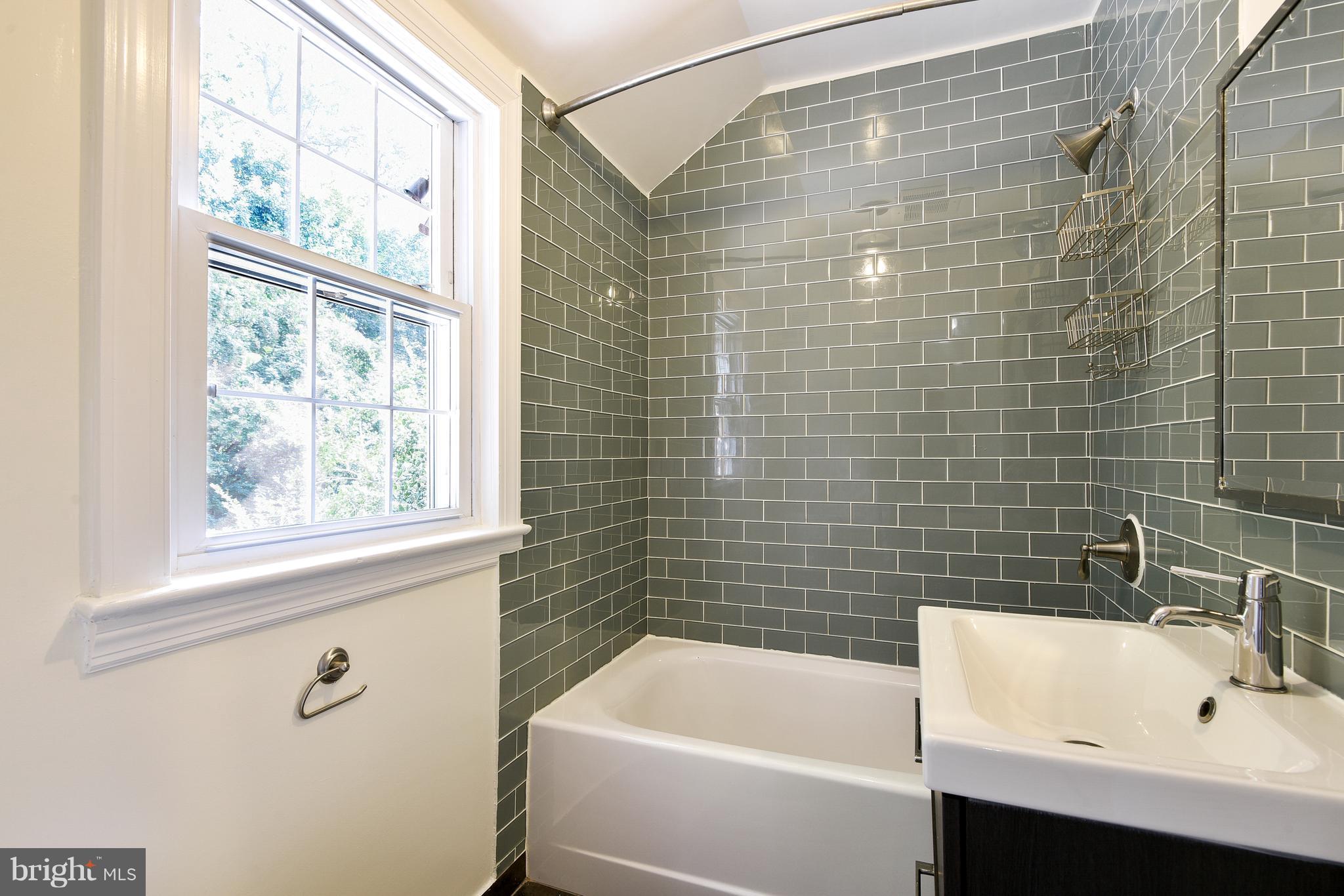 10117 Big Rock Road Silver Spring, MD 20901 - Photo 16 of 30 Bath