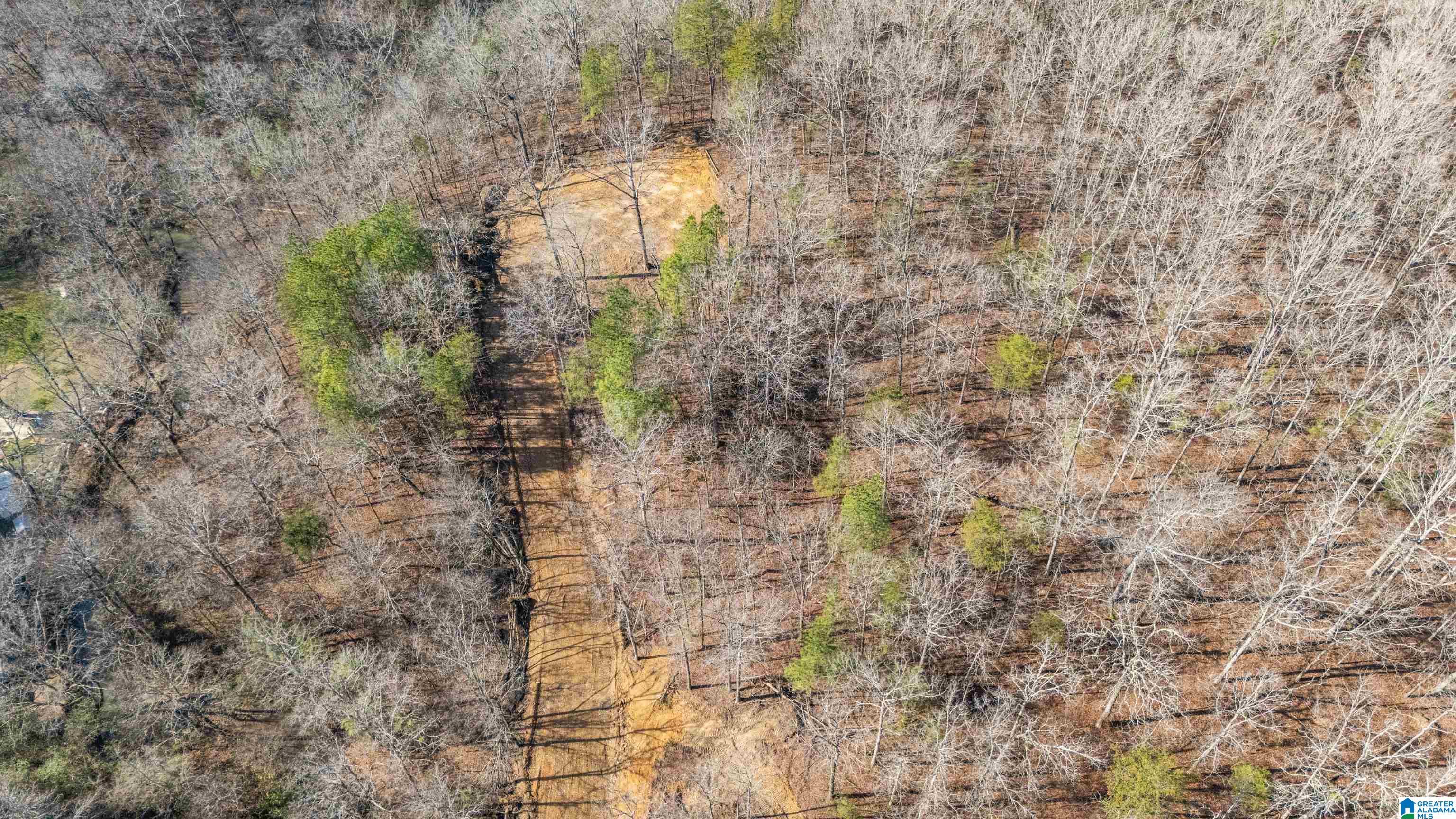 7019 Groundhog Road, Unit 1 Morris, AL 35116 - Photo 7 of 22