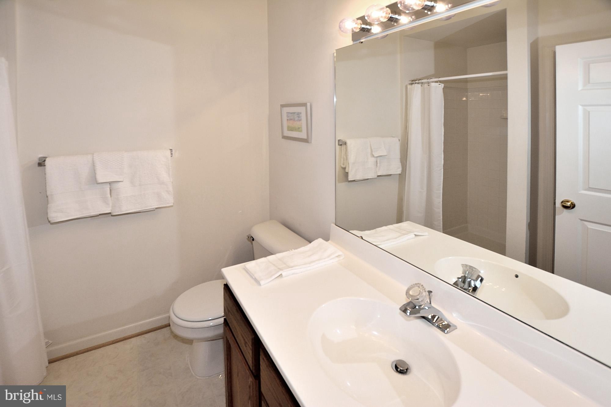 6354 Racetec Place Springfield, VA 22150 - Photo 15 of 23 Bath (Master)