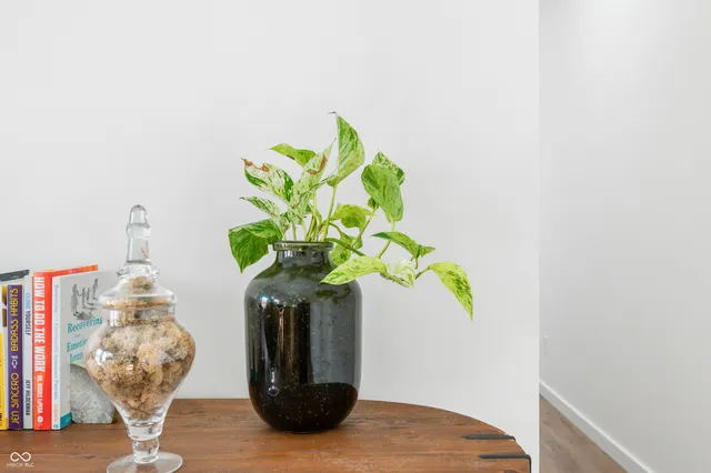 $2,350 | 318 North Tacoma Avenue, Indianapolis, IN 46201