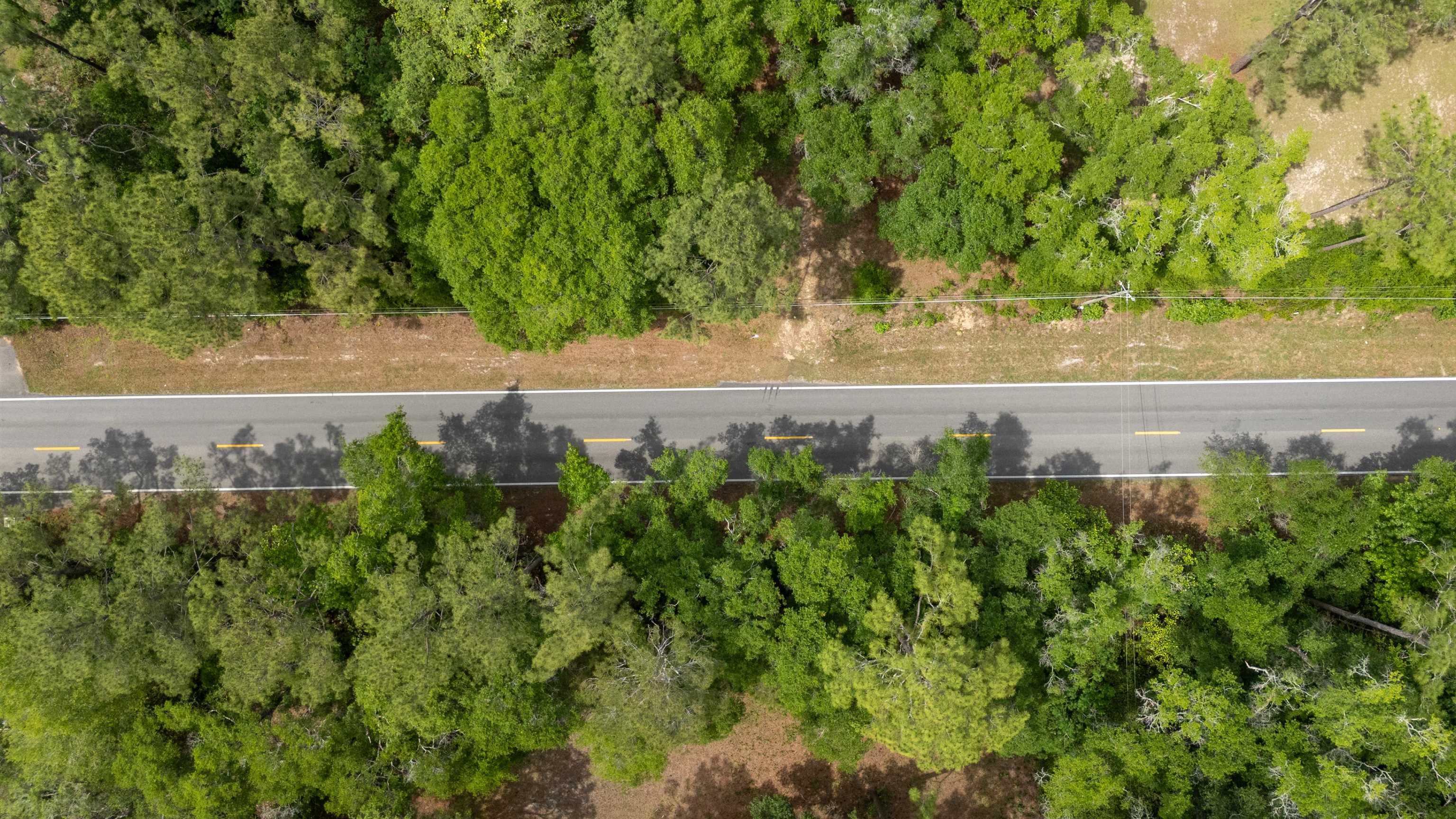 Tram Road Tallahassee, FL 32311 - Photo 8 of 29