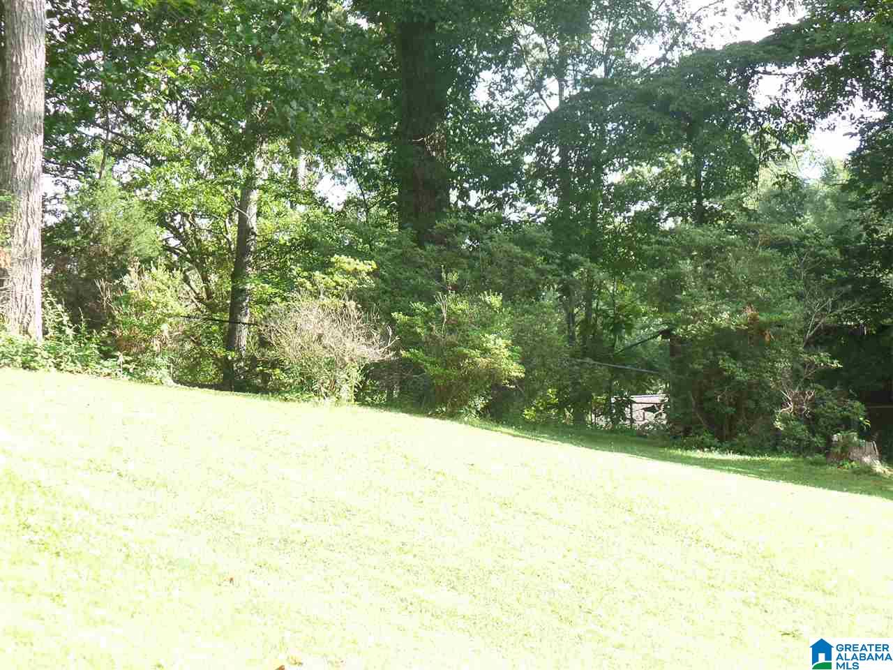 4497 Silver Lake Road Pinson, AL 35126 - Photo 23 of 27