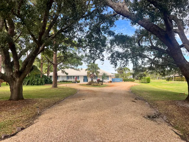 a view of road and trees