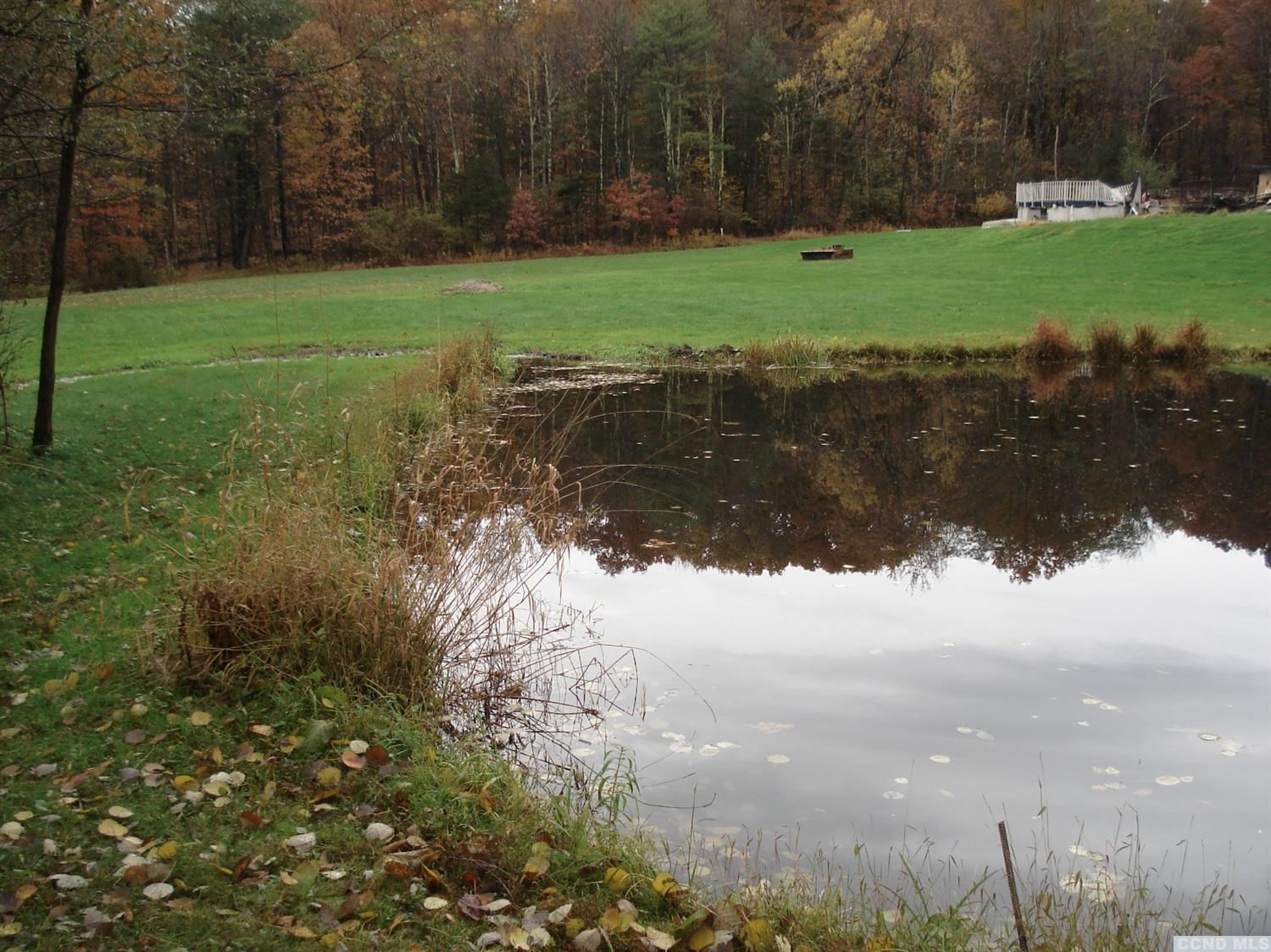 47 Joseph D Kollar Road Cairo, NY 12451 - Photo 3 of 10 a view of a yard with large trees