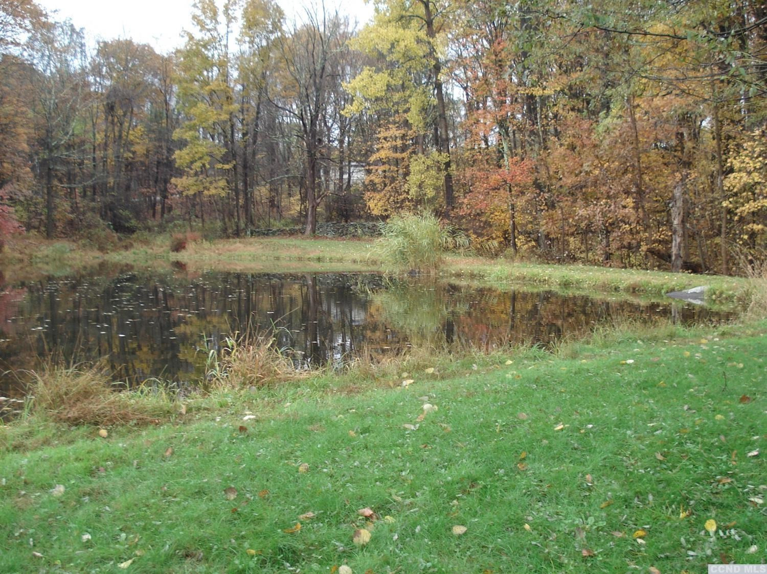 47 Joseph D Kollar Road Cairo, NY 12451 - Photo 5 of 10 a backyard of a house with lots of green space and lake view