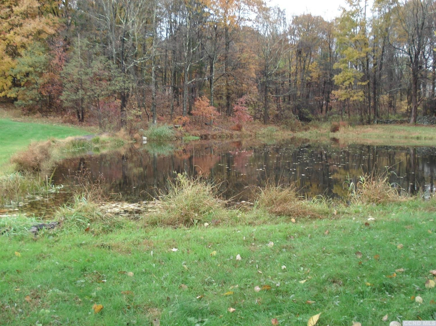 47 Joseph D Kollar Road Cairo, NY 12451 - Photo 6 of 10 a view of a lush green forest with lots of trees