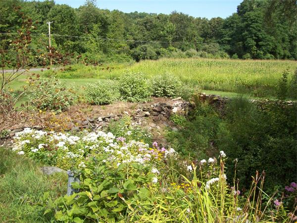 382 Lower Road Deerfield, MA 01342 - Photo 8 of 30 Gallery Image 8