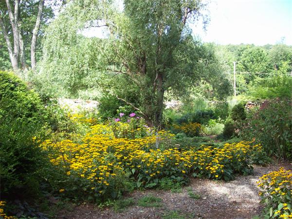 382 Lower Road Deerfield, MA 01342 - Photo 9 of 30 Gallery Image 9