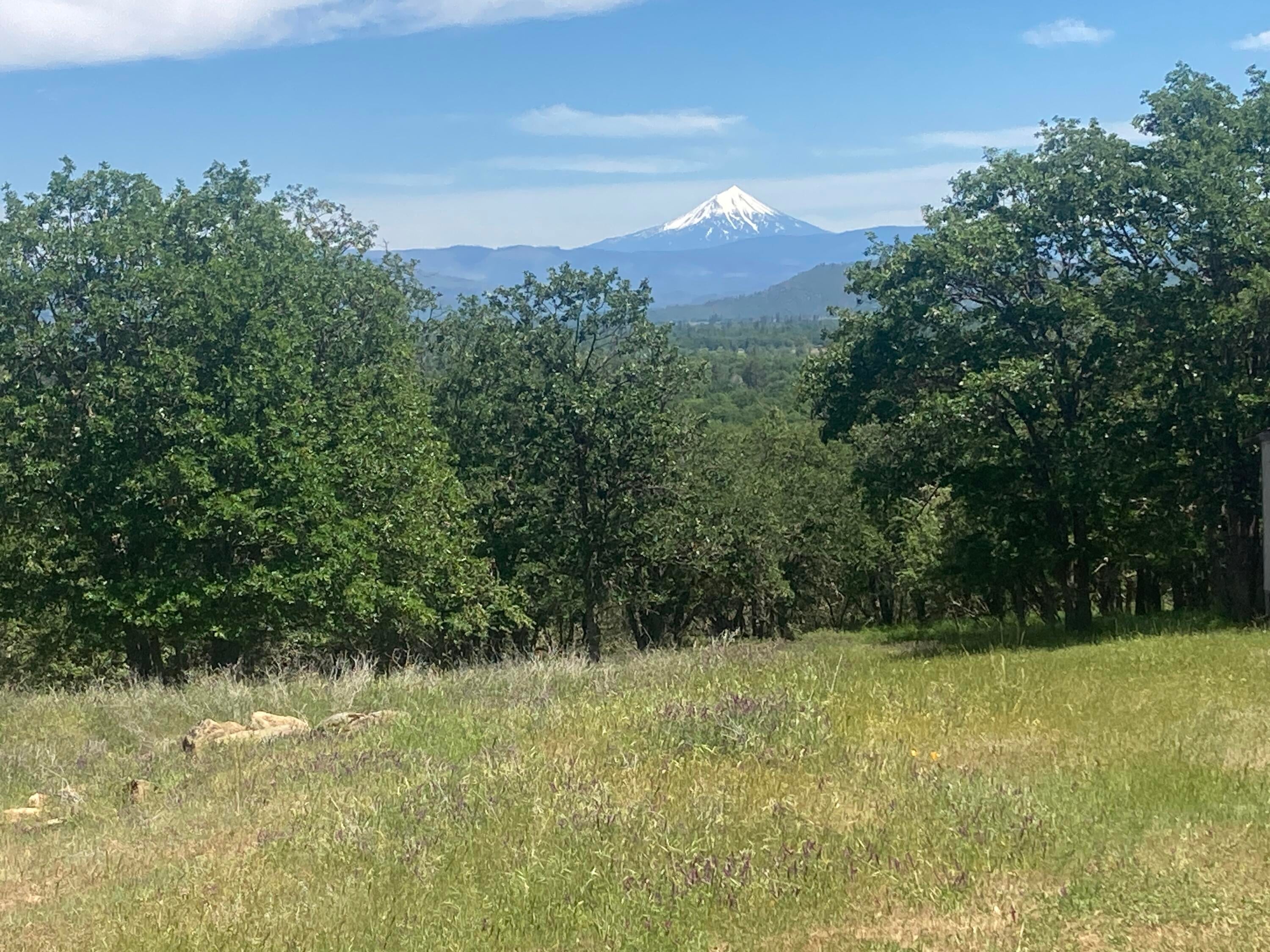 13235 Perry Road White City, OR 97503 - Photo 31 of 39 View of Mt. McLoughlin