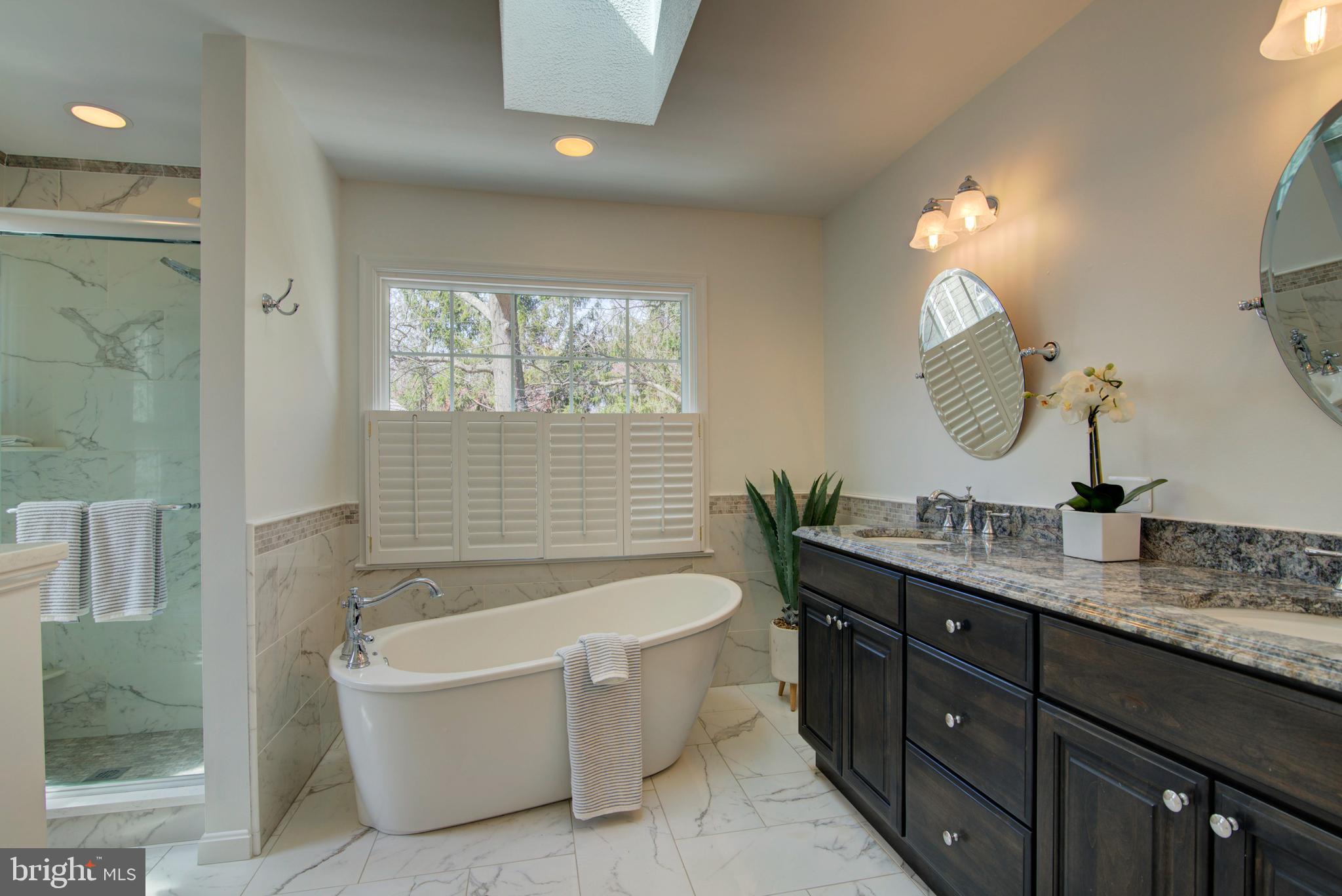 11620 Springhouse Place Reston, VA 20194 - Photo 15 of 31 Luxurious Spa-like Bathroom with New Skylight.