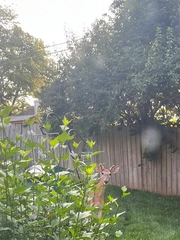 $285,000 | 4317 South Coachman Drive, Independence, MO 64055