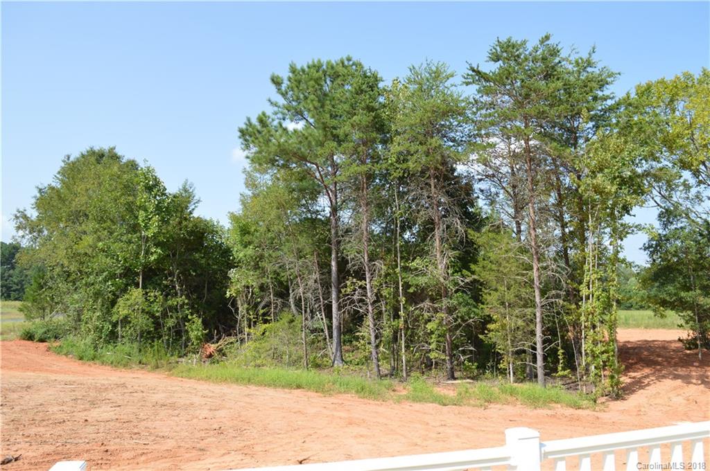4831 Kemp Dellinger Road Maiden, NC 28650 - Photo 19 of 20 a view of a backyard of a house