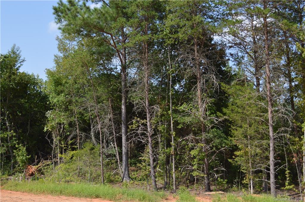 4831 Kemp Dellinger Road Maiden, NC 28650 - Photo 20 of 20 a view of a yard with plants and large trees