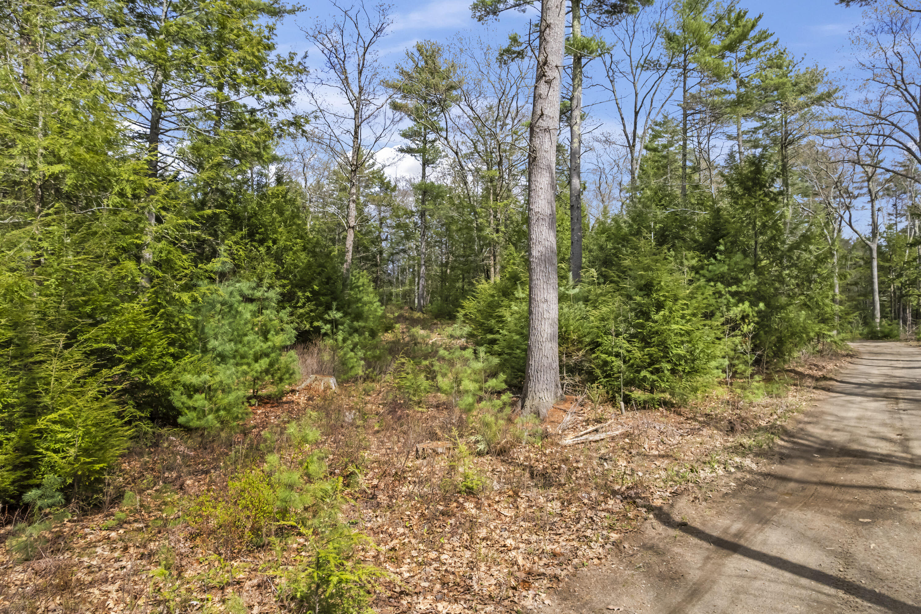 0 Taylor Road Wells, ME 04090 - Photo 6 of 19 Lot