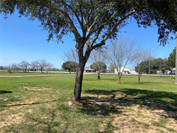 a view of a field with large trees