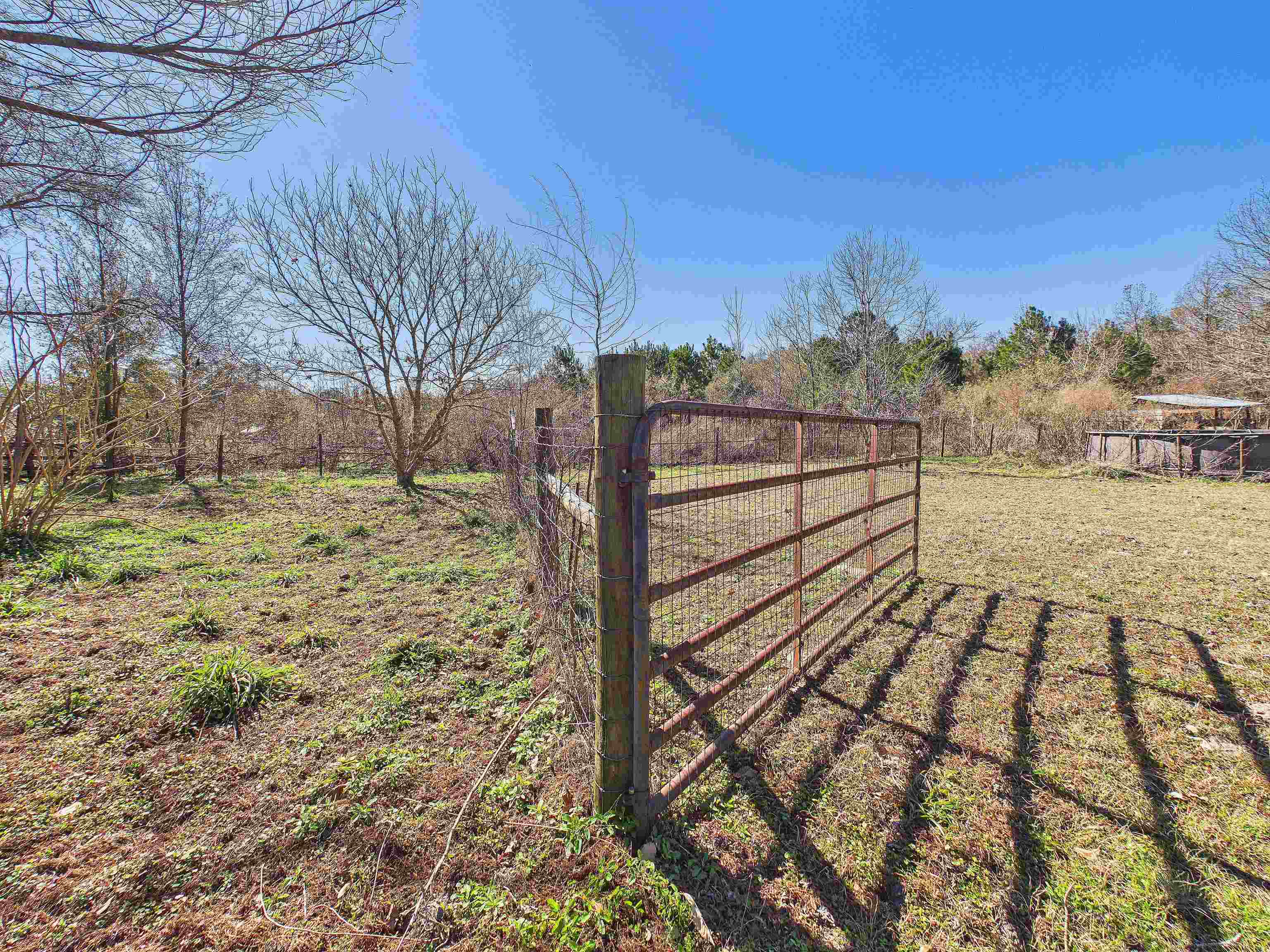 304 Limestone Road Monticello, FL 32344 - Photo 18 of 69