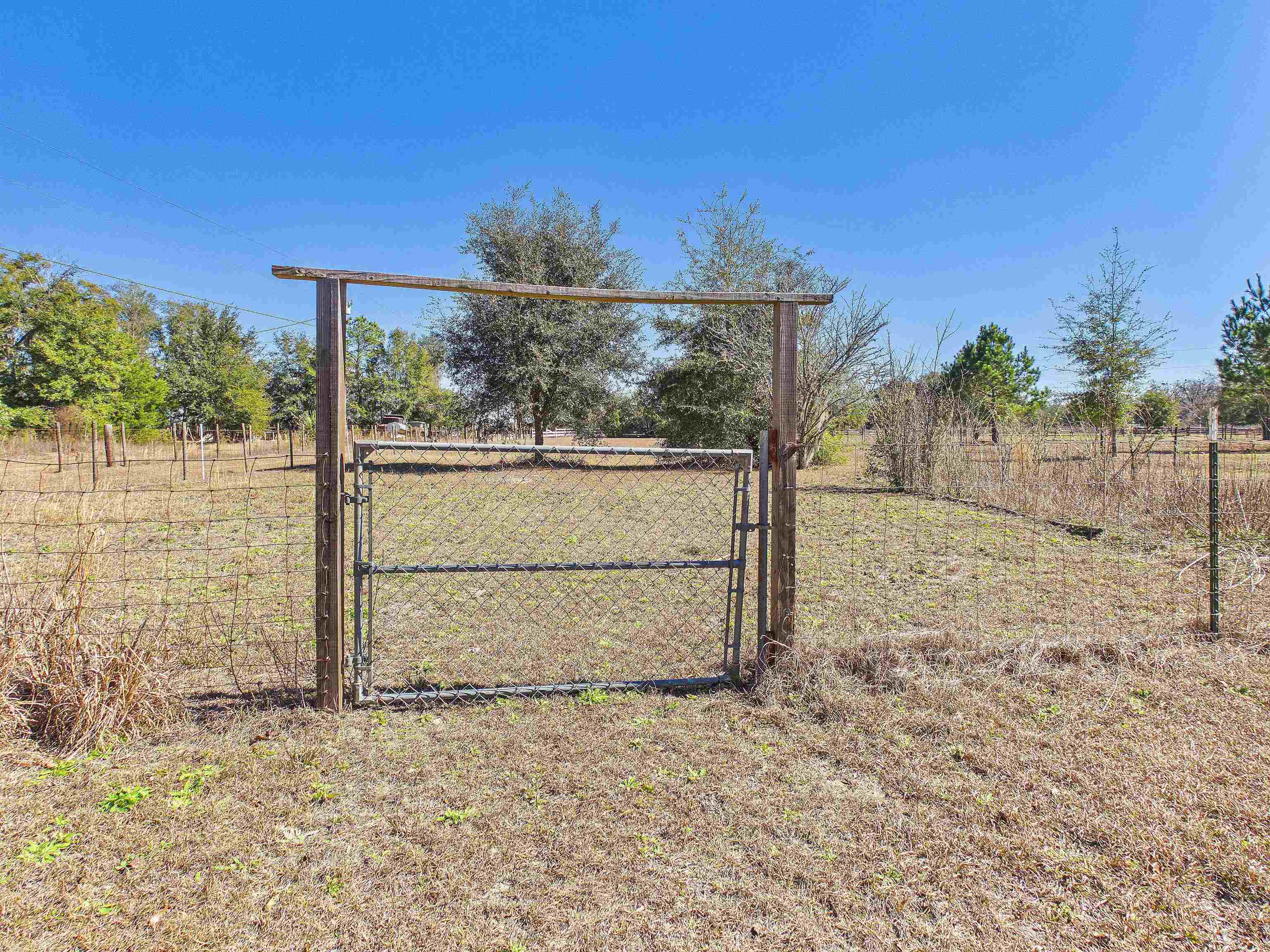 304 Limestone Road Monticello, FL 32344 - Photo 19 of 69