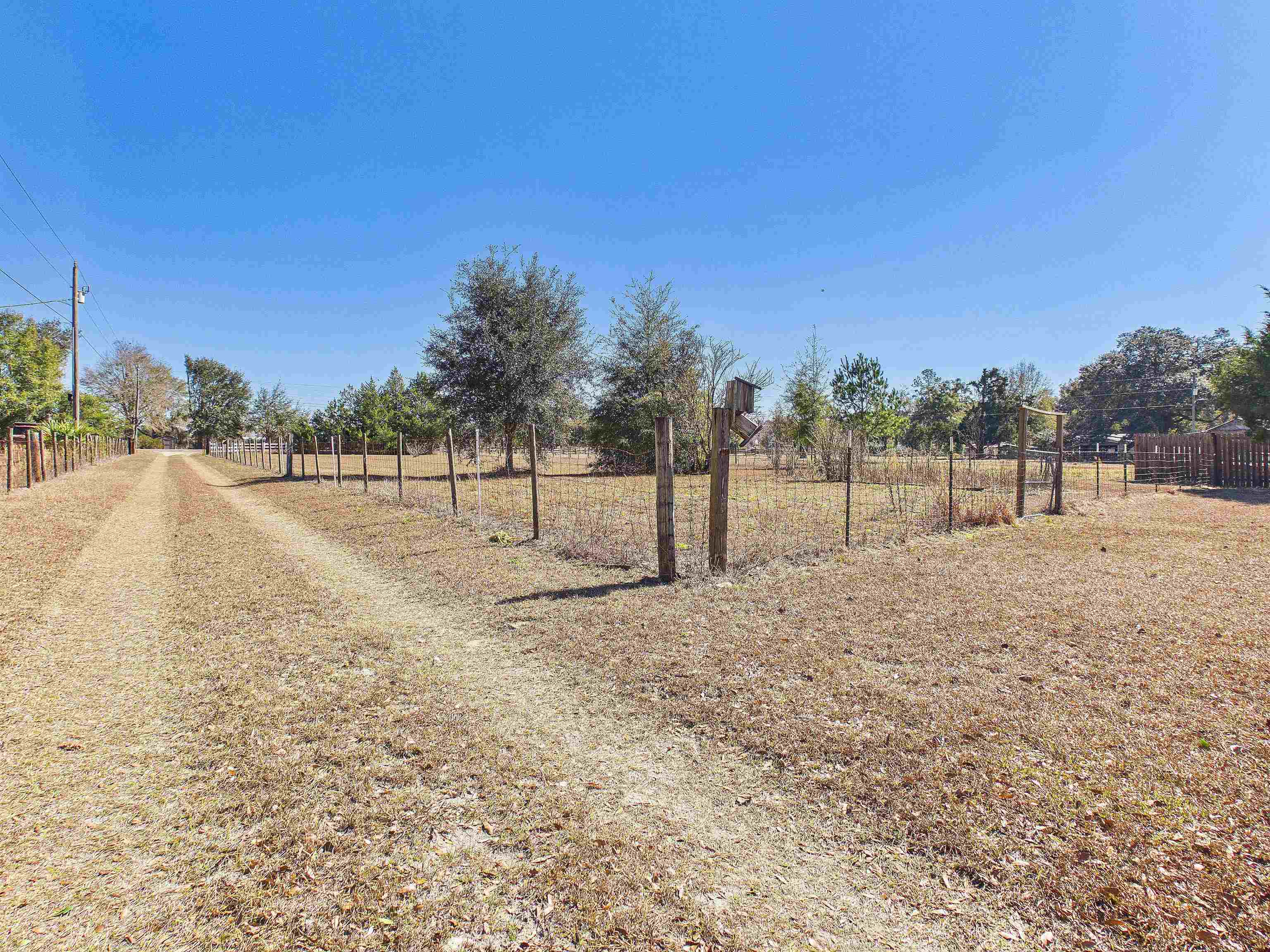 304 Limestone Road Monticello, FL 32344 - Photo 21 of 69