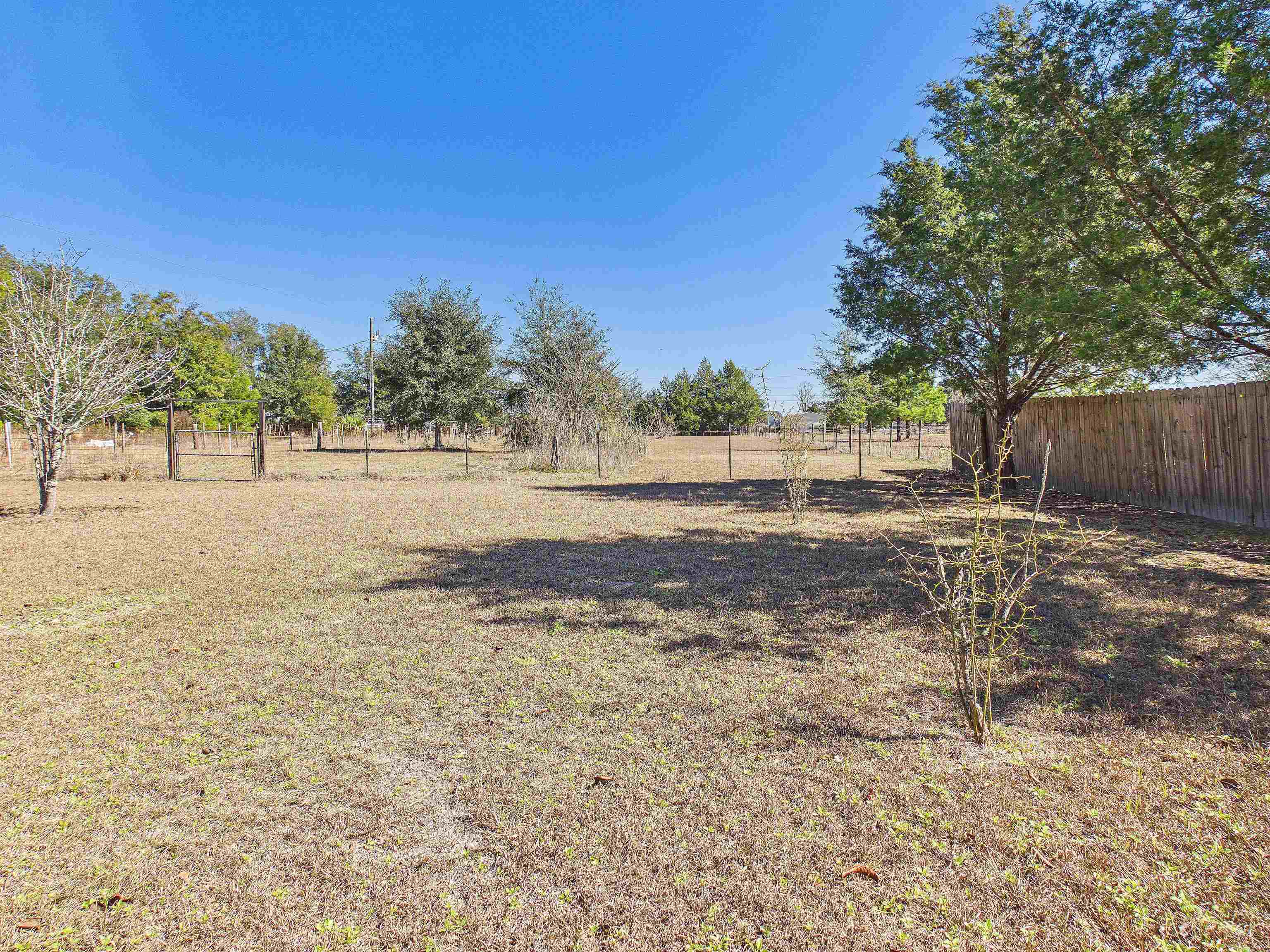 304 Limestone Road Monticello, FL 32344 - Photo 22 of 69