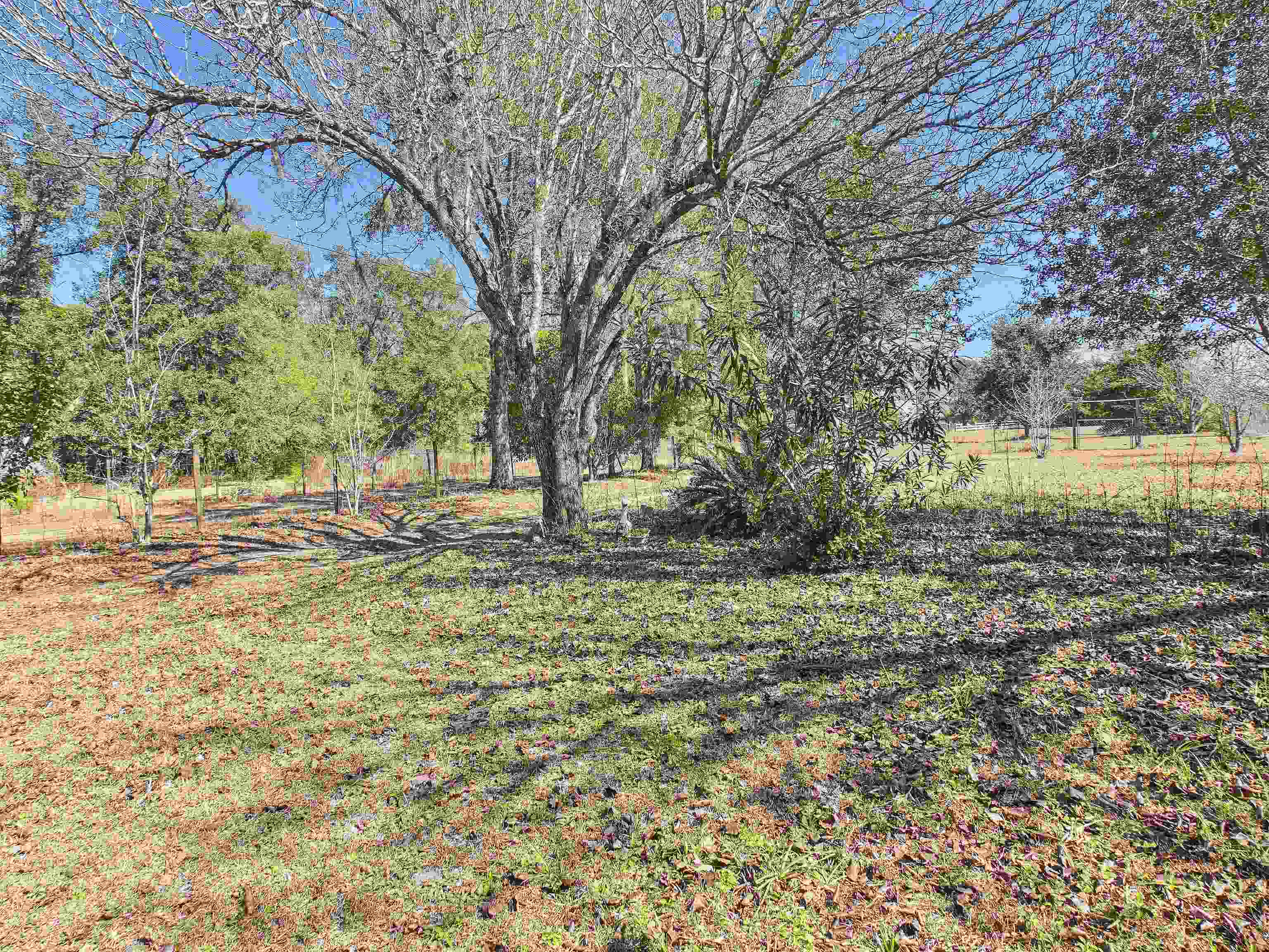 304 Limestone Road Monticello, FL 32344 - Photo 23 of 69