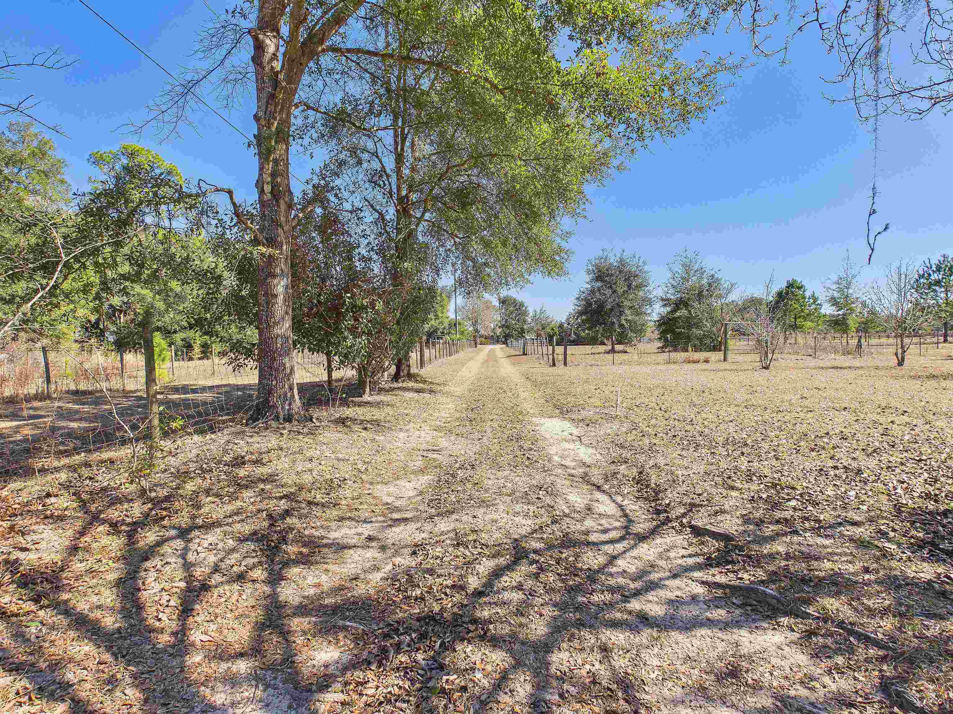 304 Limestone Road Monticello, FL 32344 - Photo 24 of 69