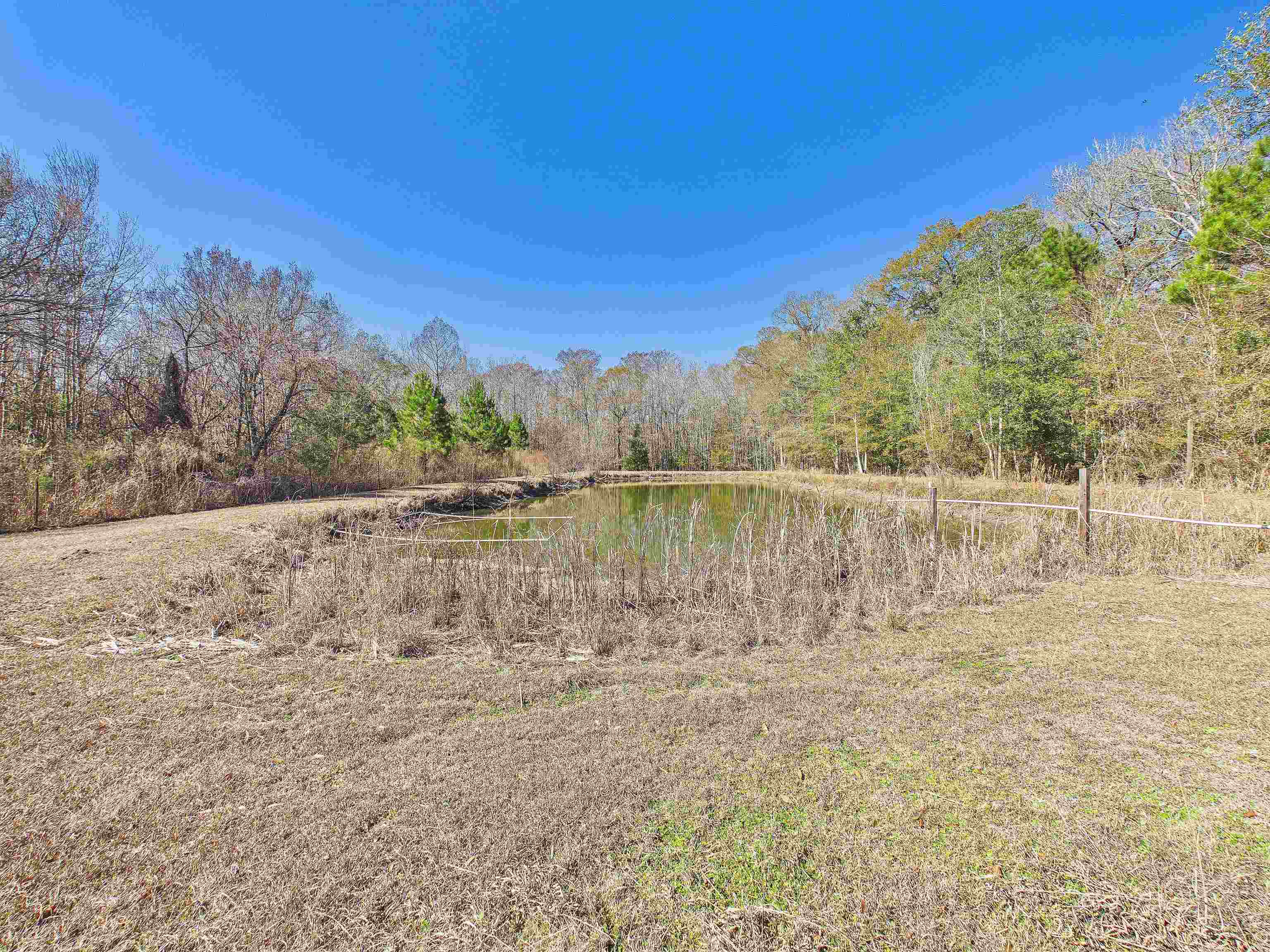 304 Limestone Road Monticello, FL 32344 - Photo 26 of 69