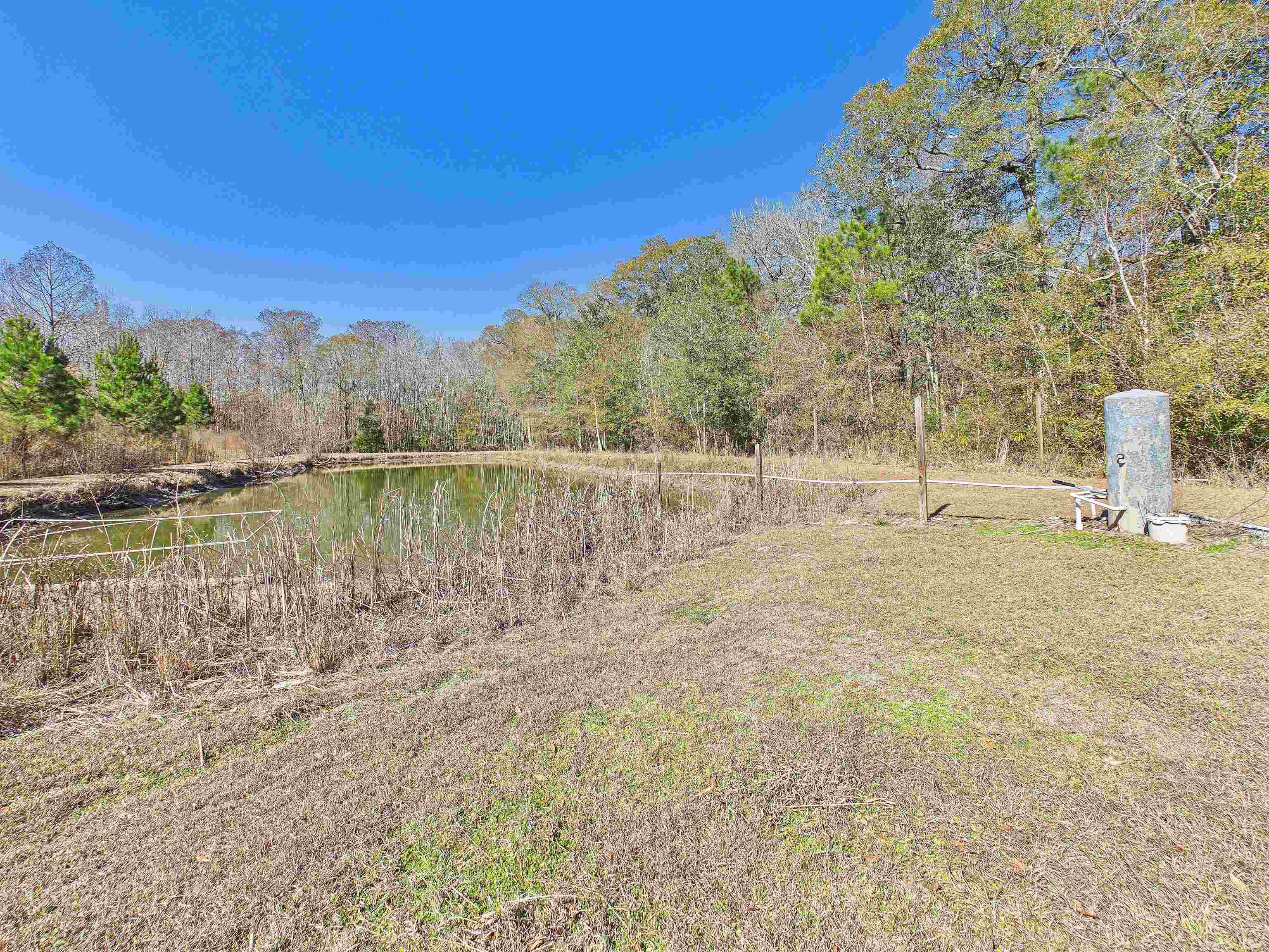 304 Limestone Road Monticello, FL 32344 - Photo 27 of 69