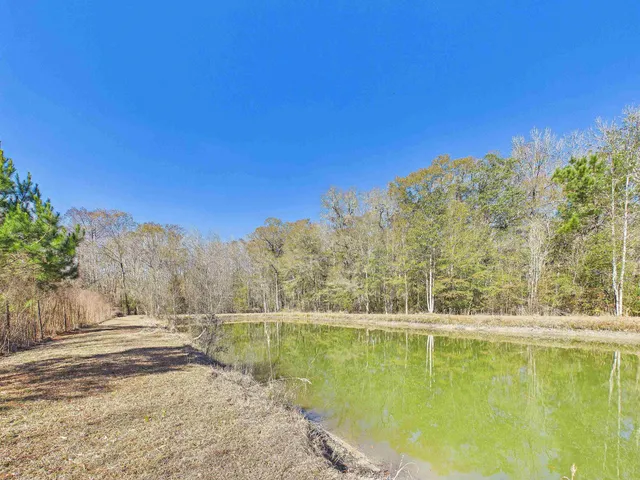 $175,000 | 304 Limestone Road, Monticello, FL 32344