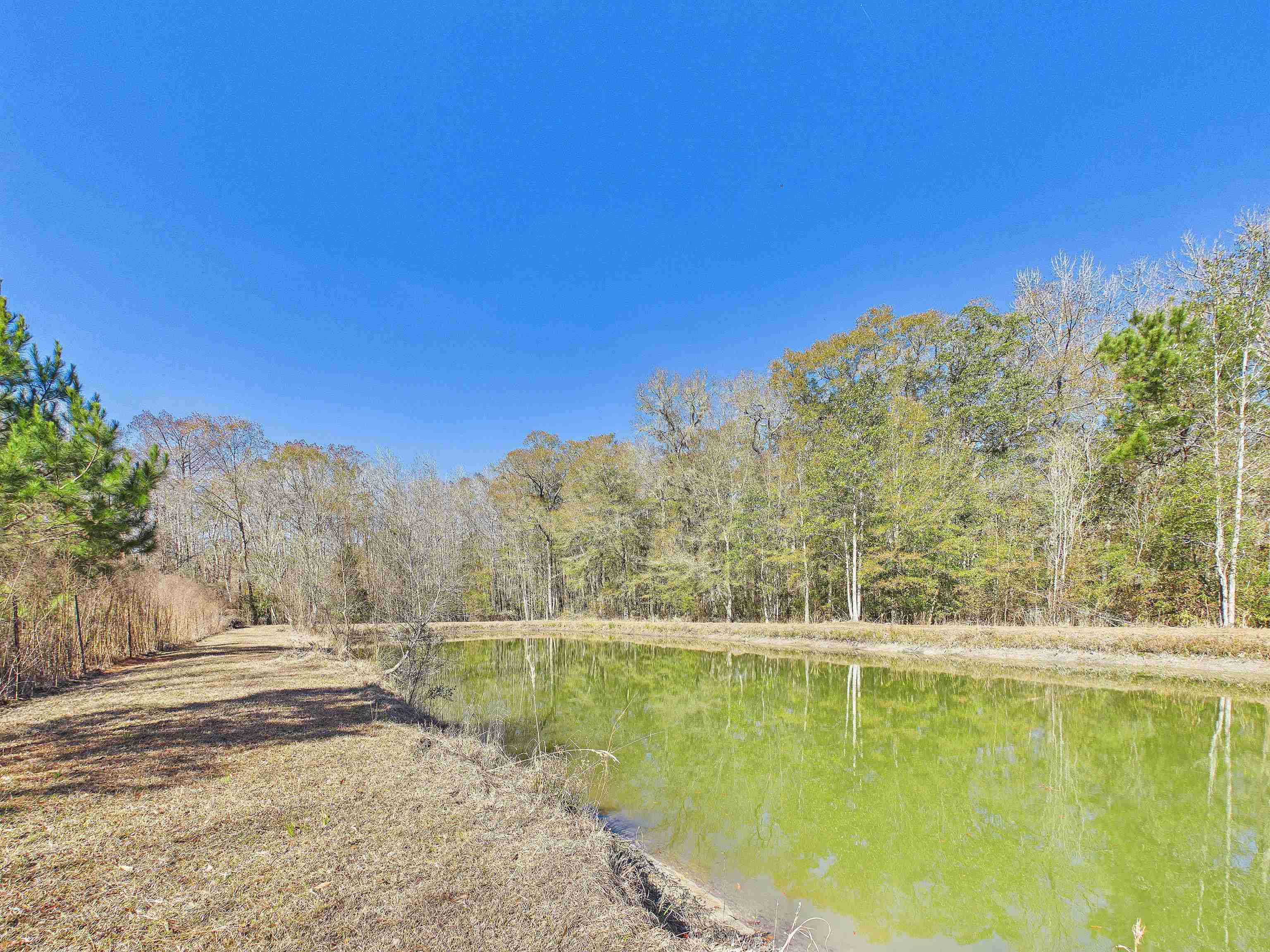 304 Limestone Road Monticello, FL 32344 - Photo 28 of 69