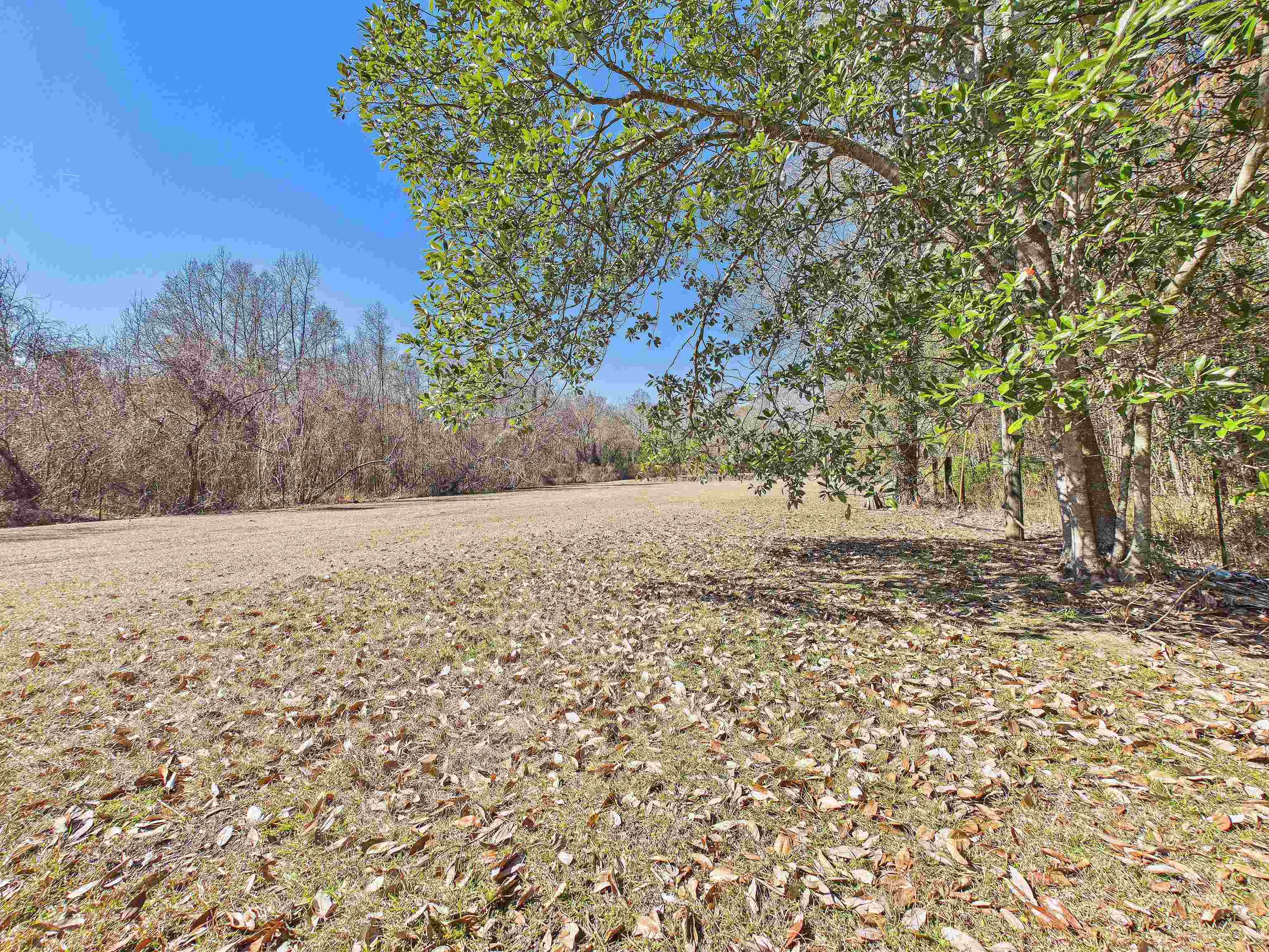 304 Limestone Road Monticello, FL 32344 - Photo 33 of 69