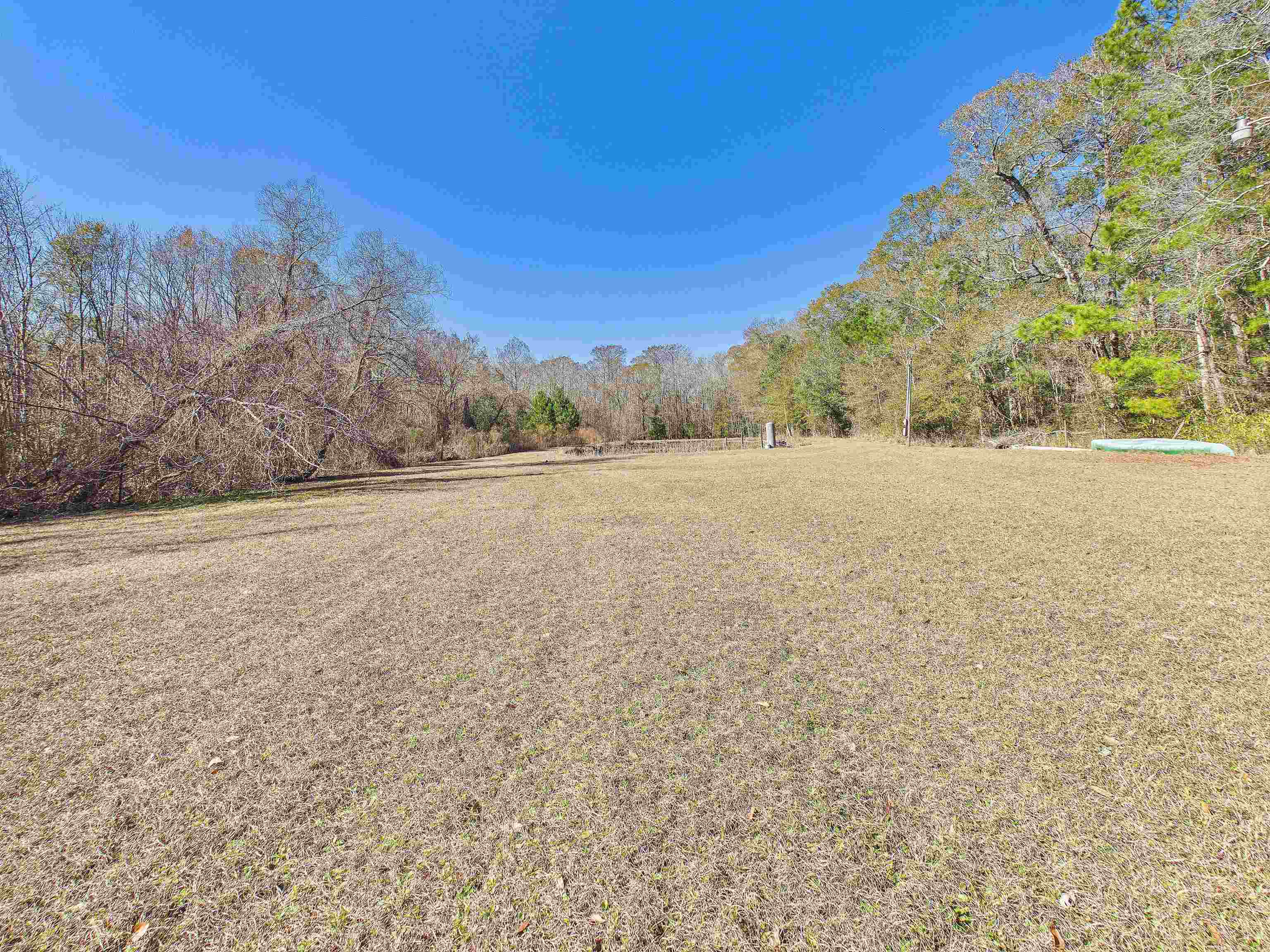 304 Limestone Road Monticello, FL 32344 - Photo 34 of 69