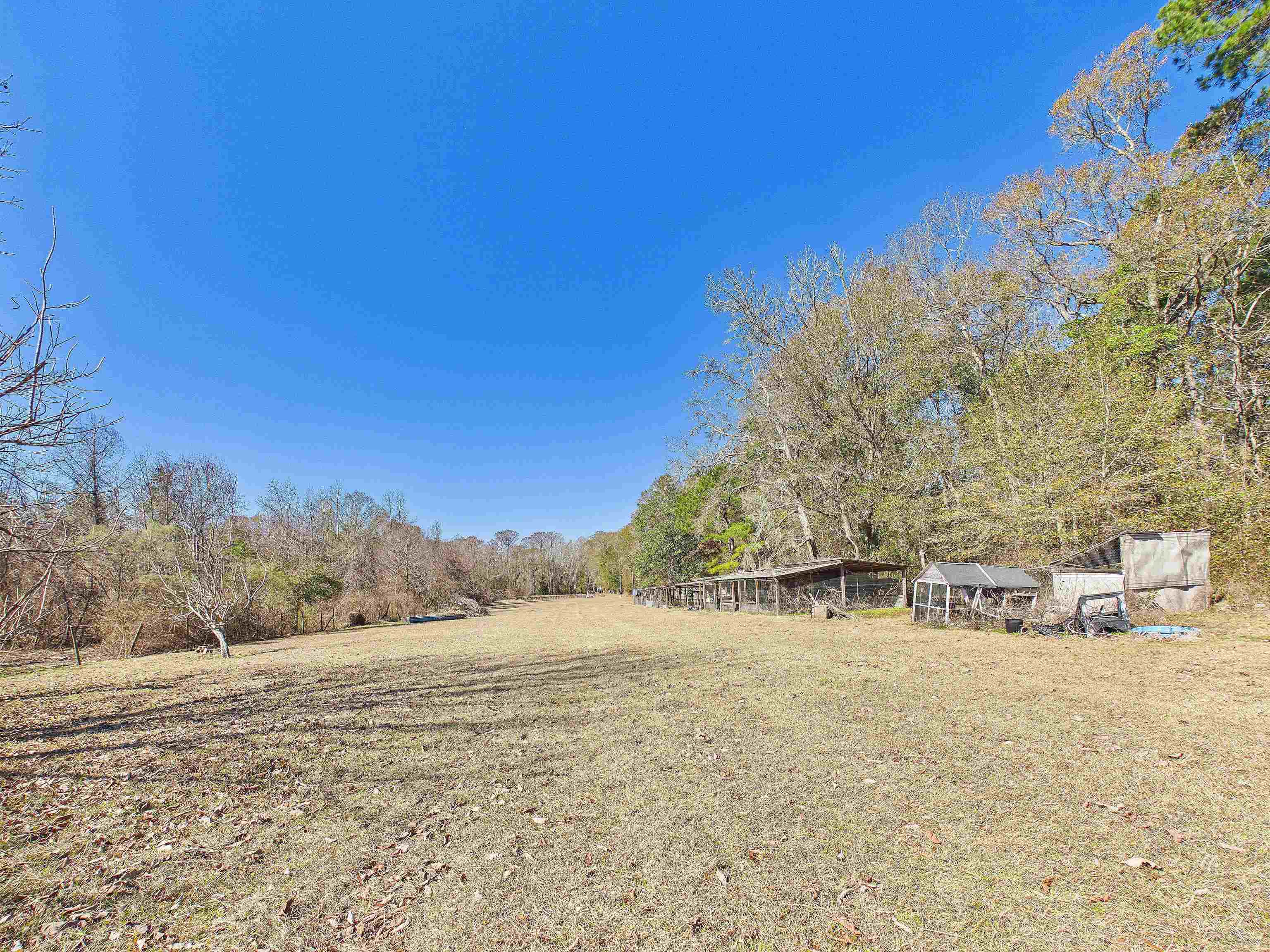 304 Limestone Road Monticello, FL 32344 - Photo 39 of 69